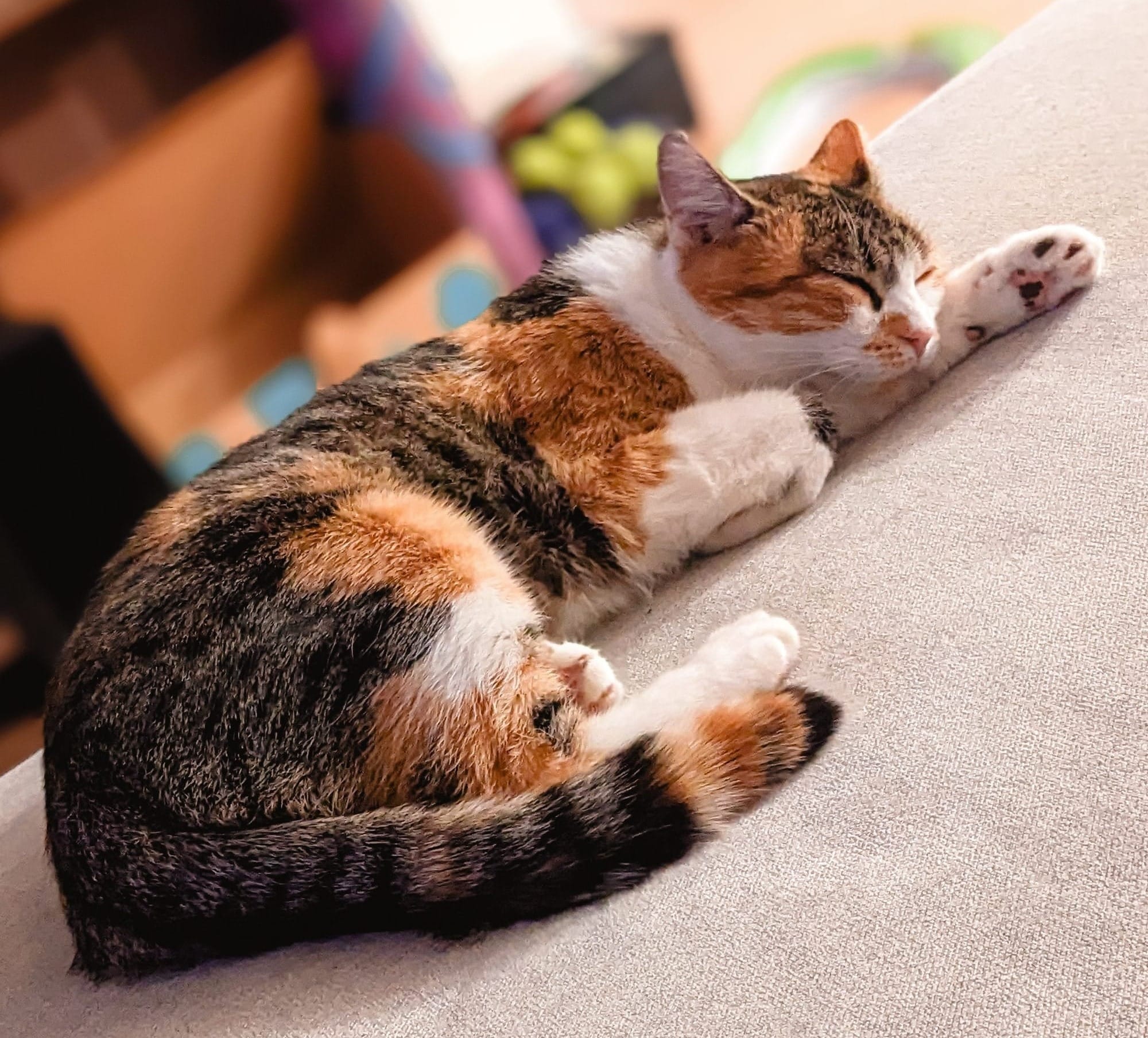 A photo of a calico cat lying on a grey couch. Her head is resting on her outstretched paw, and that paw has both pink and black spots on the toe beans.